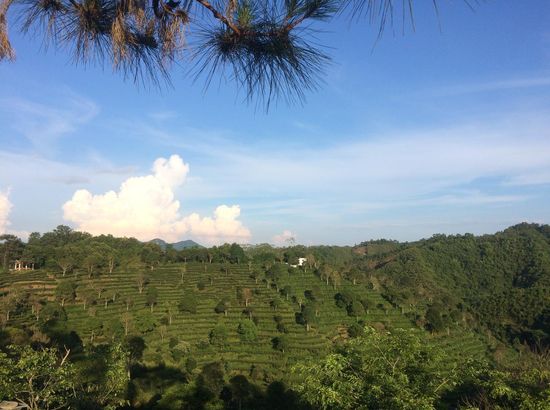 蒼梧茶仙閣客棧預訂_蒼梧茶仙閣客棧價格,地址,電話查詢【同程酒店】