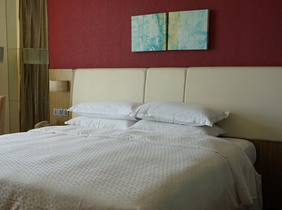 泰安宝龙艺珺酒店