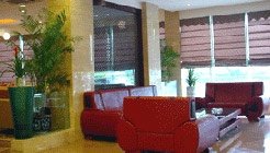 Bandao Wutian Business Hotel Other