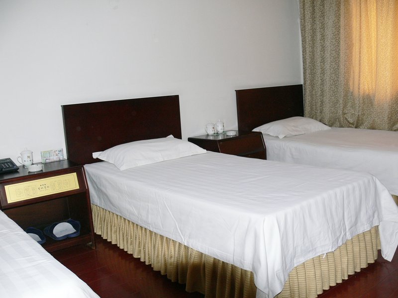 Green Tree Inn Tianjin Hedong Daqiao Avenue Guest Room