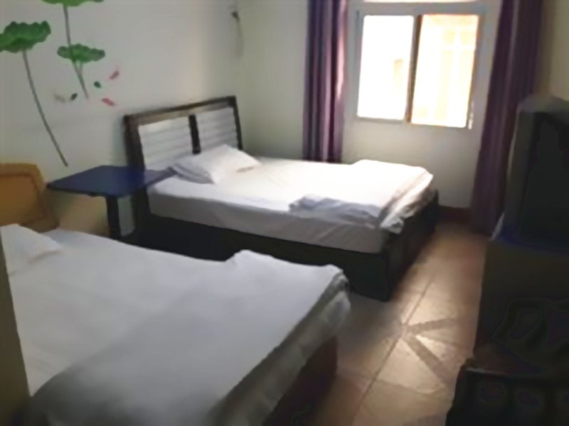  Room Type