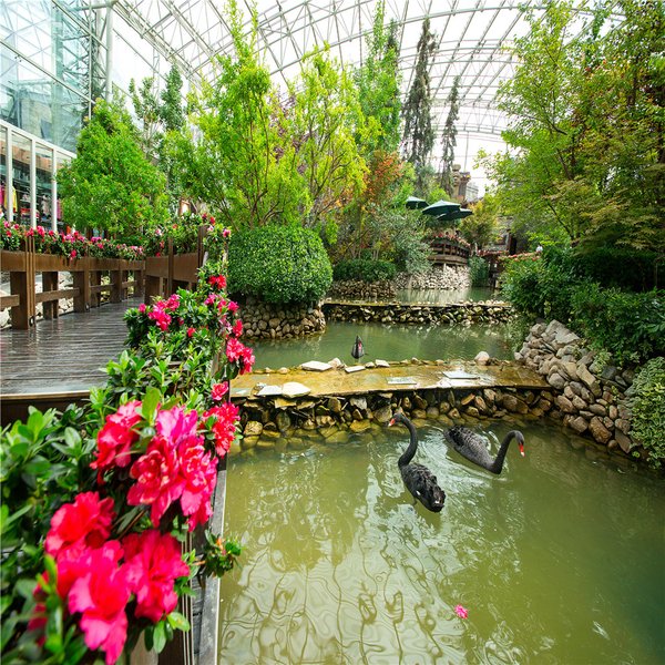 Intercontinental Resort Jiuzhai ParadiseOther