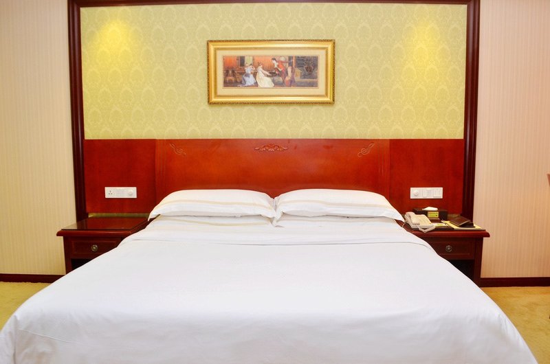 Vienna Hotel (Huizhou Citic) Room Type