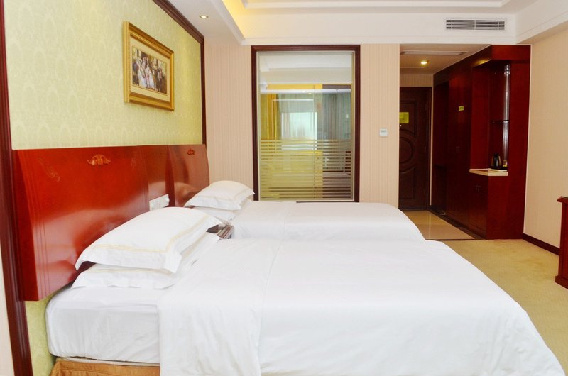 Vienna Hotel (Huizhou Citic) Room Type