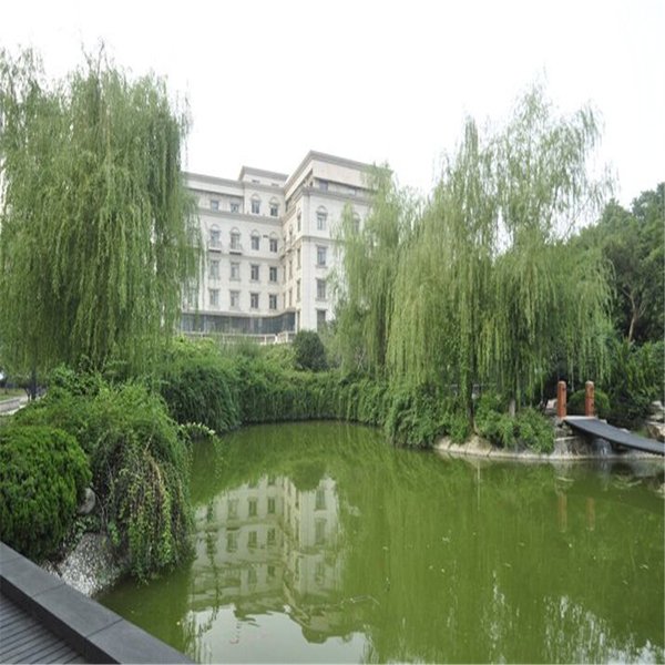 Wuhan Guochuang Chuyuan Hotel Leisure room