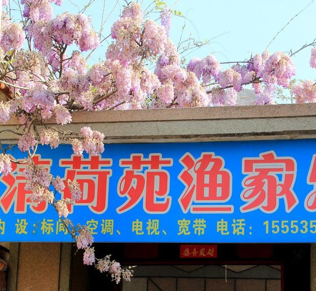 Qingheyuan HostelOver view