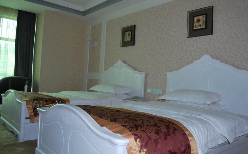 Vienna hote Guest Room