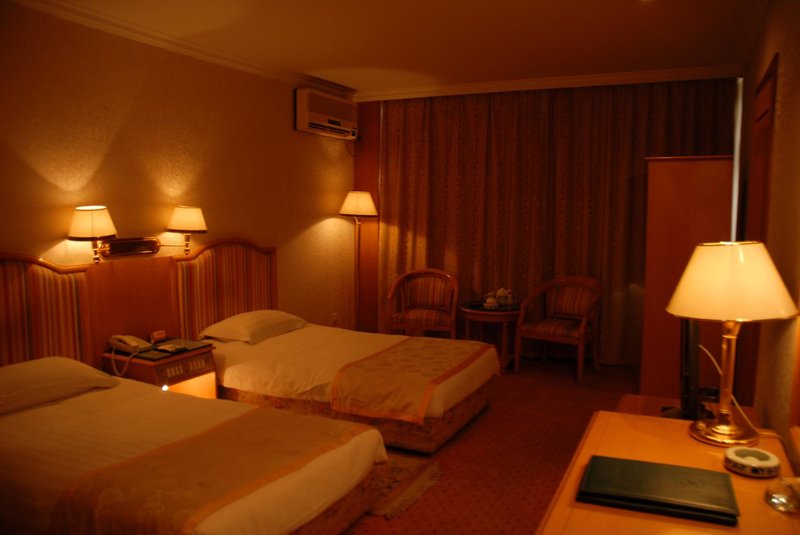 Puyang HotelRoom Type