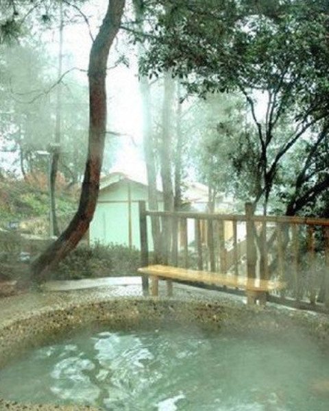 Tianyi Forest Hot Spring Hotel Leisure room