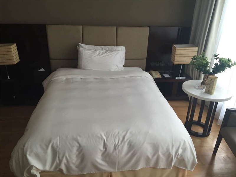 Tianjin Eagleland International Hotel Room Type