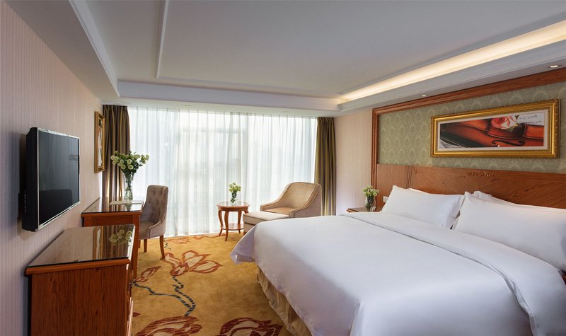 Vienna Hotel (Dongguan Tangxia High Speed Railway South Station) Room Type