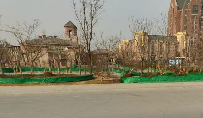 Crowne Plaza Tianjin Jinnan图片