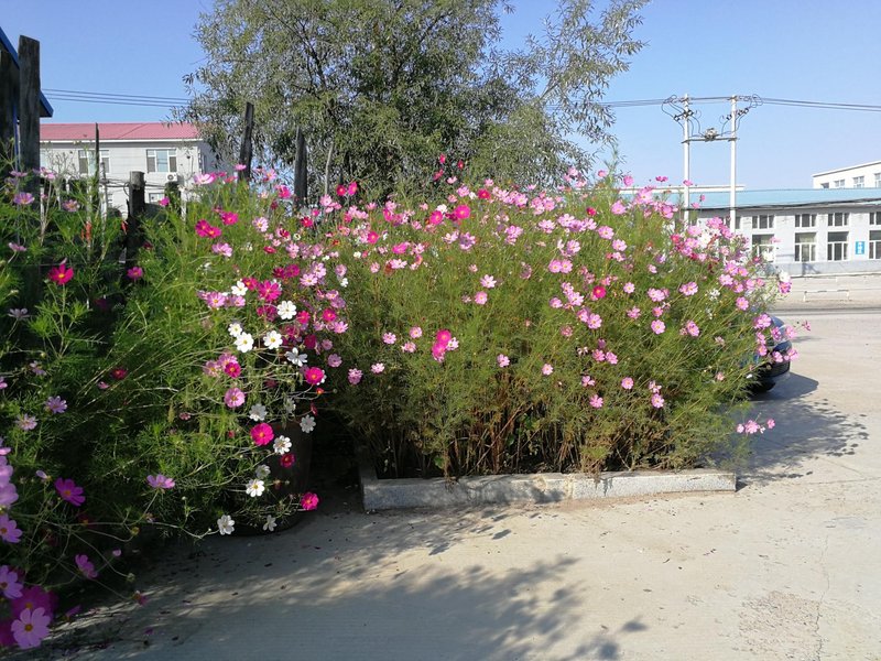 Yunshang Business HotelOther