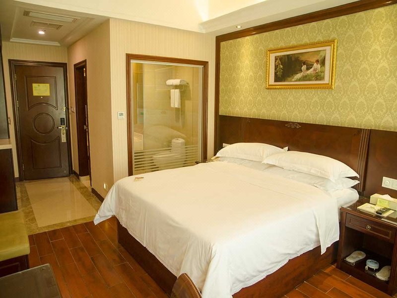 Vienna Hotel (Shenzhen Convention and Exhibition Center, Fuhai Qiaotou) Room Type