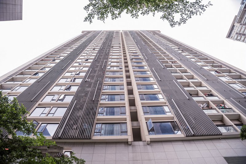 Shengang Short-term Rental Apartment (Shenzhen Taoyuan) Over view