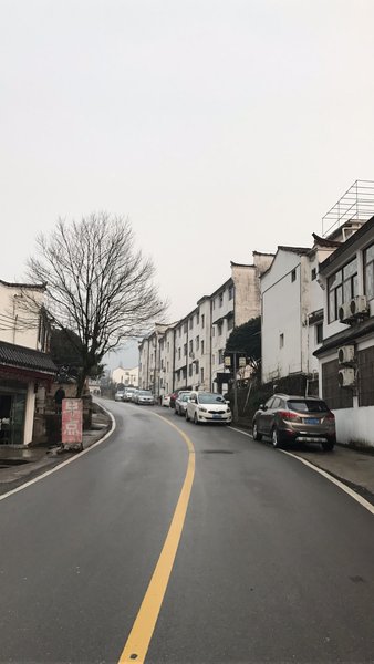 Jingxian ManorOver view