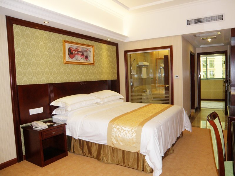 Vienna Hotel (Shenzhen Convention and Exhibition Center, Fuhai Qiaotou) Room Type