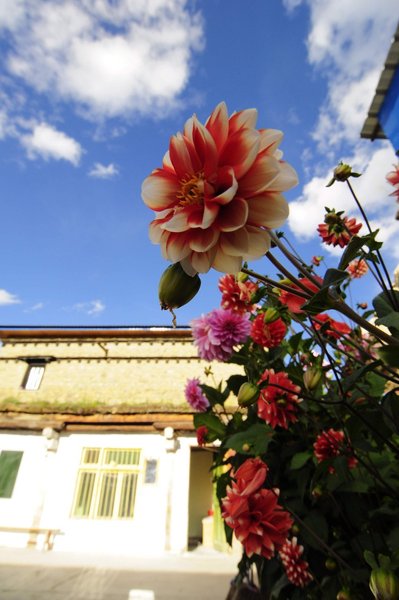 Zhuoma Renjia Youth HostelOver view