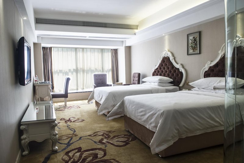 Vienna Hotel (Yongzhou Zhiyuan Xinwaitan) Room Type