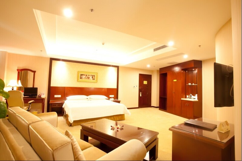 Vienna Hotel (Huizhou Citic) Room Type