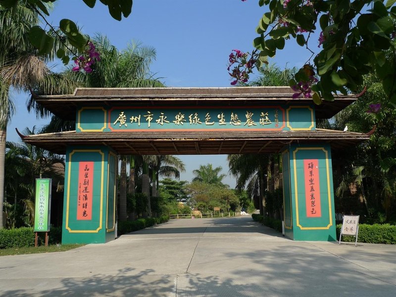 Yongle Green Ecological Farm over view