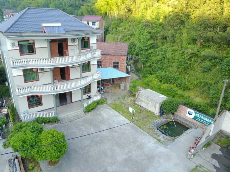 Wuxie Xieyuan Xiangjian Bieyuan Farmhouse Over view