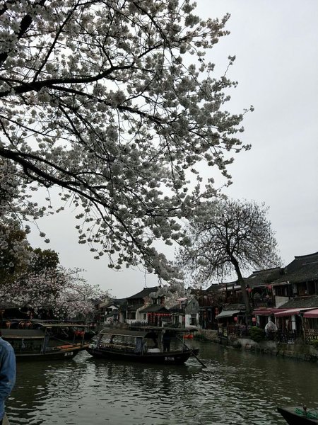 Xitang Fang Man Ting InnOver view