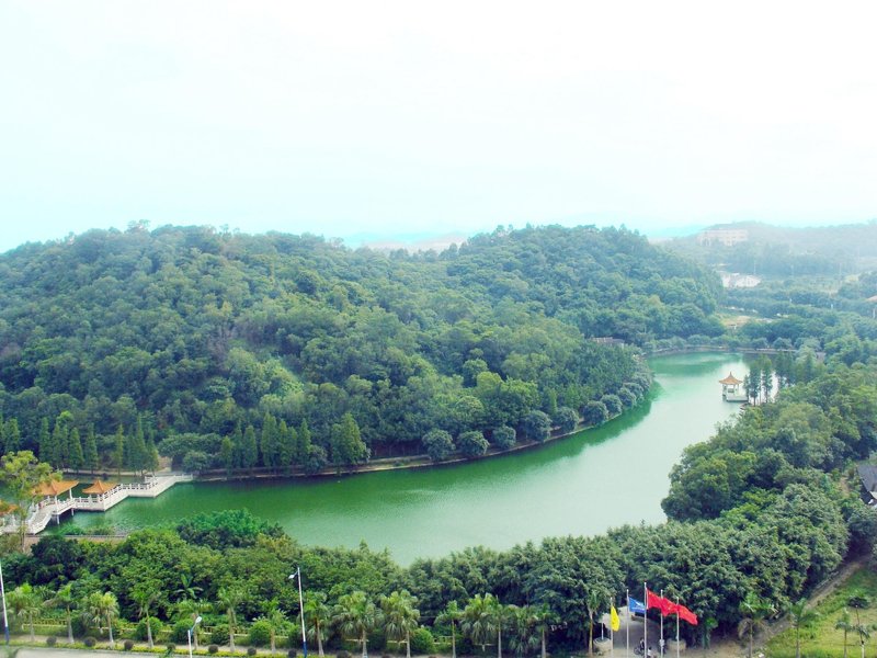 Foshan Panorama Hotel图片