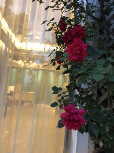 Miyue Zhilian HotelLobby