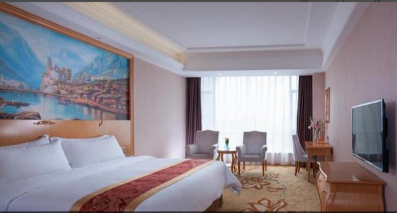 Vienna Hotel (Dongguan Houjie Jinzuo) Room Type