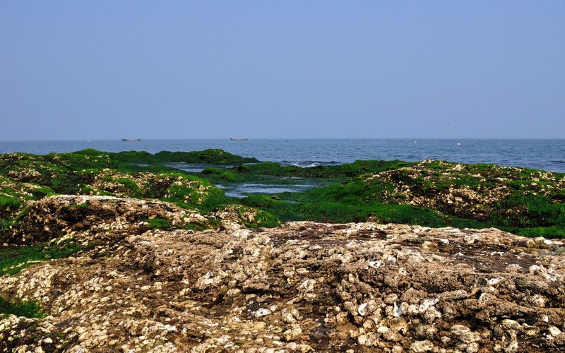 Northern Pearl Hotel (Dalian High-tech Park)周边图片