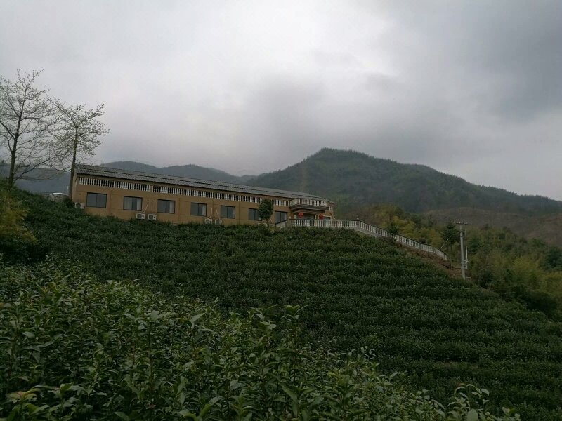 Dongbaihu Buyun Holiday Mountain Villa Over view