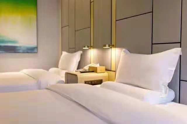 Ji Hotel (Guangzhou Economic Development Zone) Room Type
