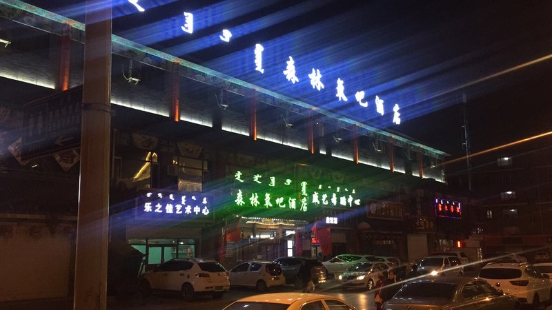 Forest Oxygen Bar Hotel (Hohhot Dazhao) Over view