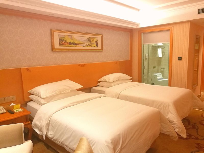 Vienna Smart Hotel (Lanzhou Yantan Science and Education City) Room Type