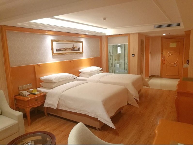 Vienna Smart Hotel (Lanzhou Yantan Science and Education City) Room Type