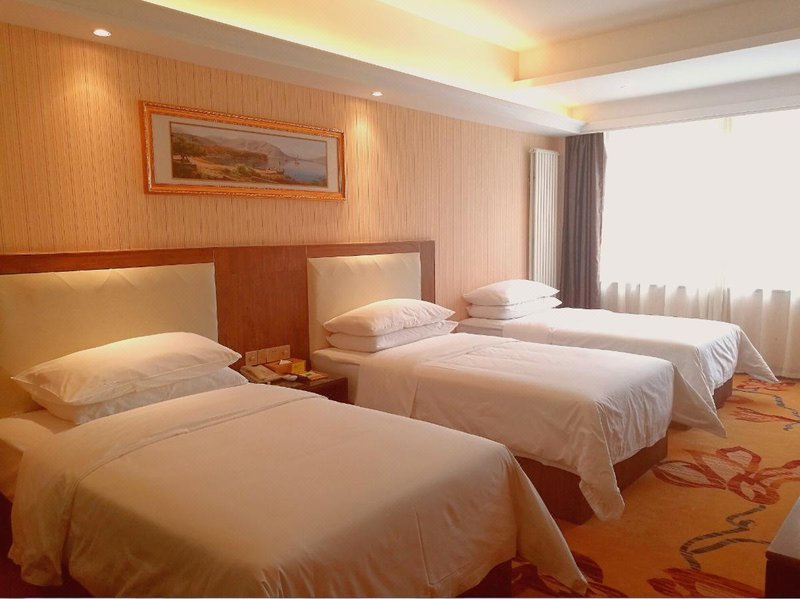 Vienna Smart Hotel (Lanzhou Yantan Science and Education City) Room Type