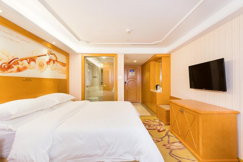 Vienna Hotel (Quanzhou Puxi Wanda Quanxiu Road ) Room Type