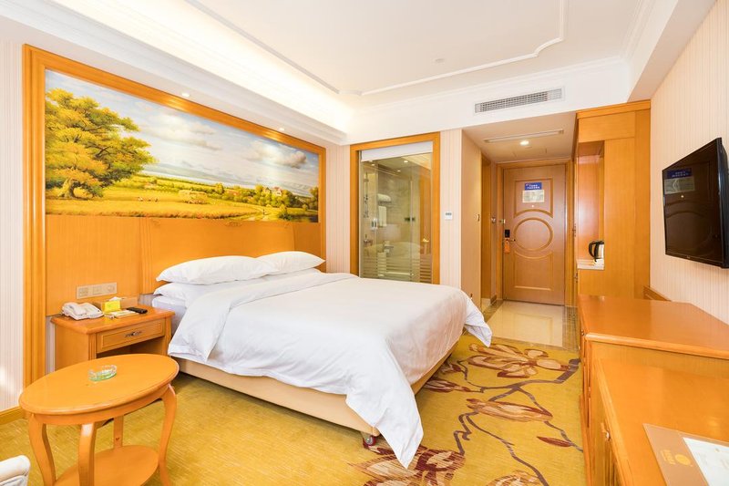 Vienna Hotel (Quanzhou Puxi Wanda Quanxiu Road ) Room Type