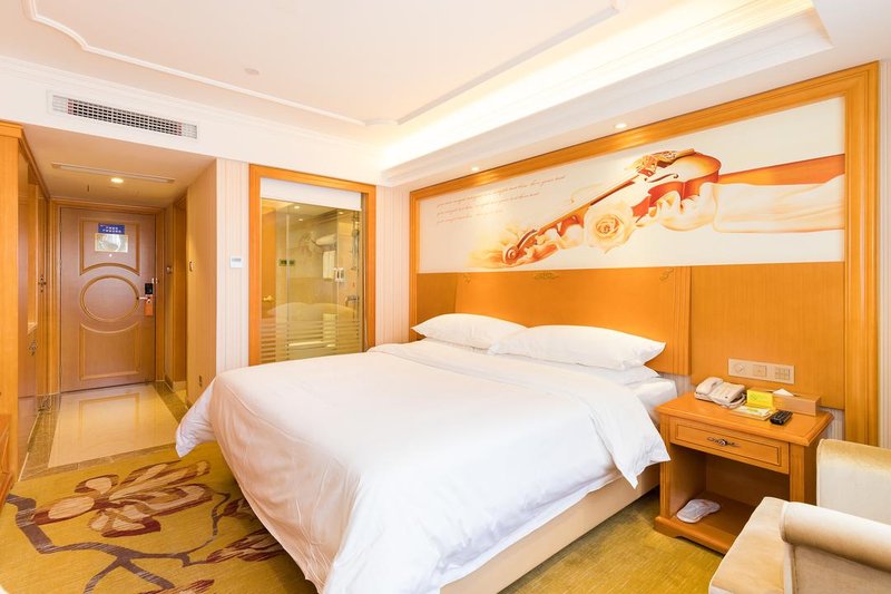 Vienna Hotel (Quanzhou Puxi Wanda Quanxiu Road ) Room Type