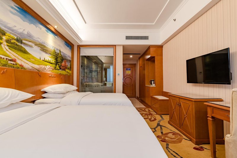 Vienna Hotel (Jinan Baimaiquan) Room Type