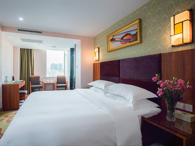 Vienna Hotel (Shanwei Feicui Bay) Room Type