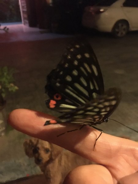 Huameng·Suiyuan Tang Chi ApartmentOther