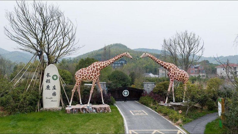 Giraffe Manor HotelOver view