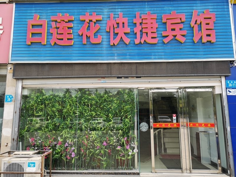 White lotus hotel expressOver view