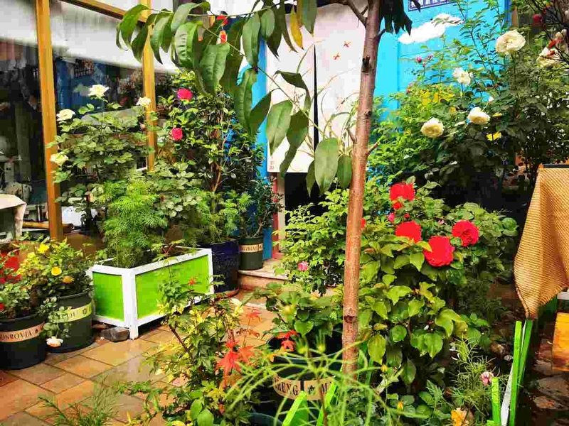 Lhasa Linxiaju Inn Over view