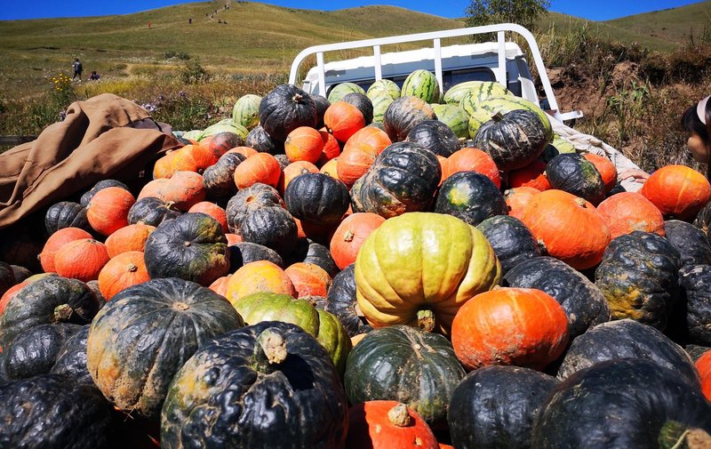 Jiaqi Yuejiang Hotel (Xiamen SM Square Jiangtou Metro Station)休闲