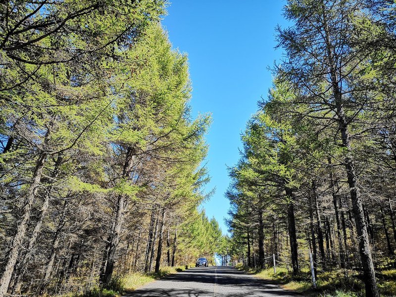 Jiaqi Yuejiang Hotel (Xiamen SM Square Jiangtou Metro Station)休闲