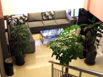 Changchun Jinyi Business HotelOther