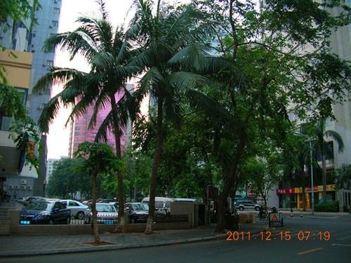 Jinmao Plaza Hotel Haikou Other